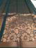 PL BIG BUTTA SAREE